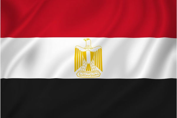 Египет выходит из договора ООН о зерне