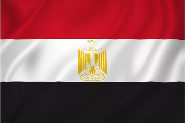 Египет выходит из договора ООН о зерне