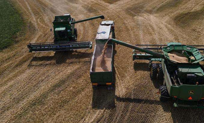 Украина за март экспортировала более 3,5 млн тонн зерна