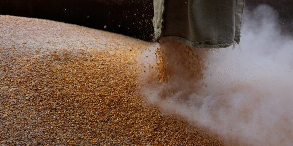Фахівці радять фермерам не тримати та скоріше продавати зерно