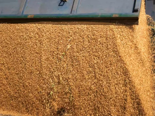 Словакия не будет запрещать транзит украинского зерна