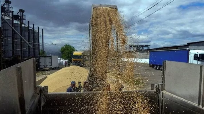 Еврокомиссия предлагает превентивные меры к украинской агропродукции