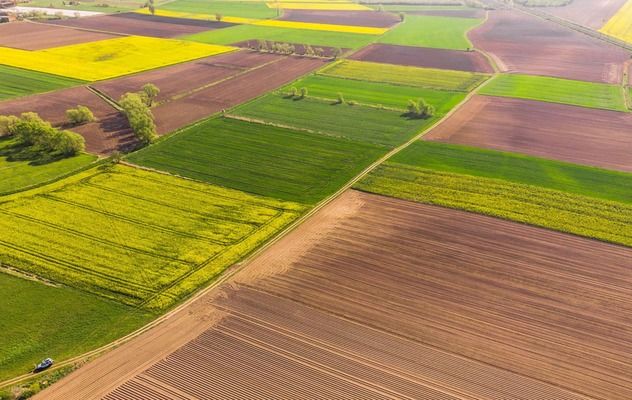 На скільки в Україні подорожчала сільськогосподарська земля?