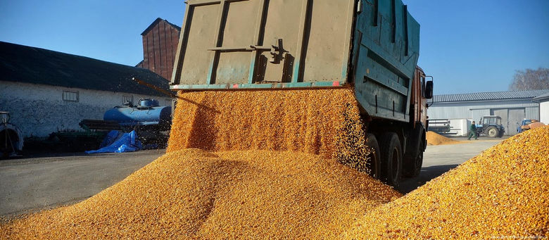 Молдова не заборонятиме імпорт українського зерна