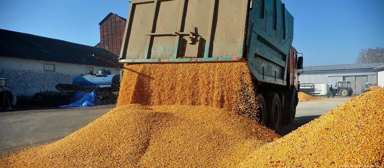 Молдавия не будет запрещать импорт украинского зерна