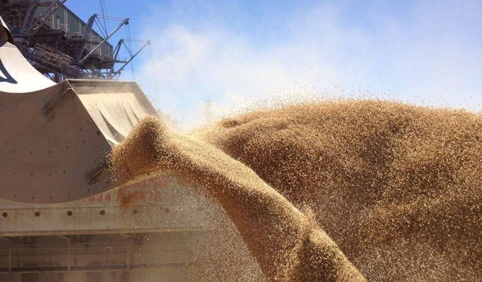 Украина только за половину мая экспортировала 1,5 млн тонн зерна