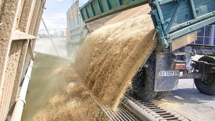 Теперь ОВА могут отдавать избыточное зерно для программы «Grain from Ukraine»