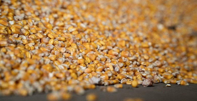 Экспорт украинского зерна почти достиг отметки 45 млн тонн