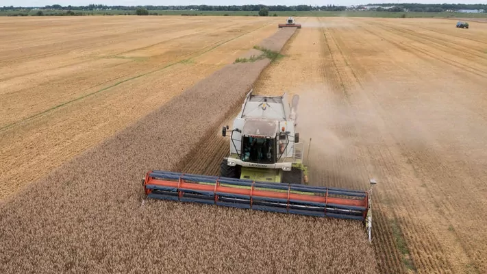 Еще одну страну хотят включить в инициативу Grain From Ukraine