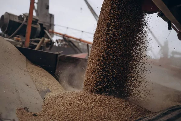 Країни ЄС просять обмежити імпорт українського зерна