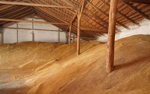 Запрет на импорт украинского зерна продлили
