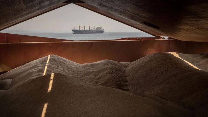 Экспорт украинского зерна практически достиг 46 млн тонн