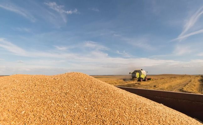 Сколько зерновых экспортировала Украина?