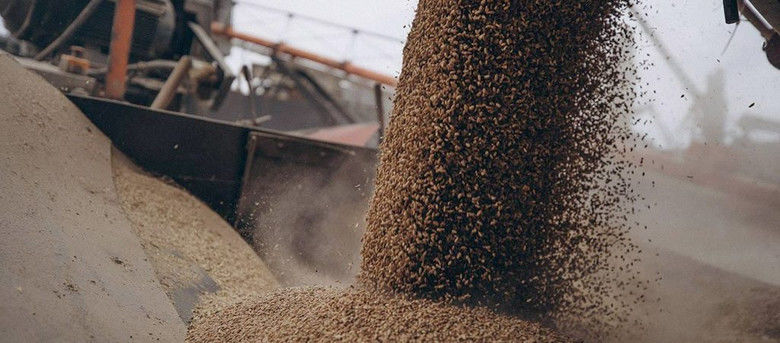 Государство выкупает у польских аграриев избыточное зерно