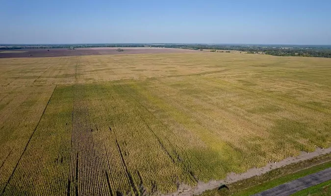 Эксперты назвали ключевые изменения в земельном законодательстве Украины