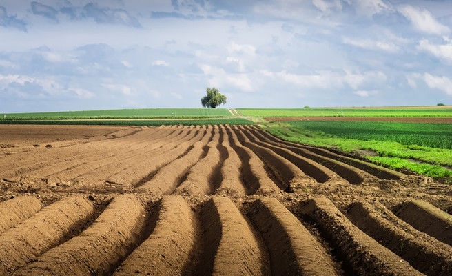 За два года рынка земли в Украине продано 1% сельскохозяйственных угодий