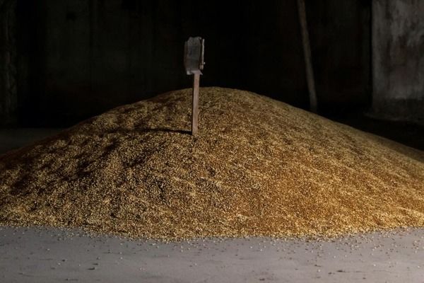 Грузия запретила импорт пшеницы