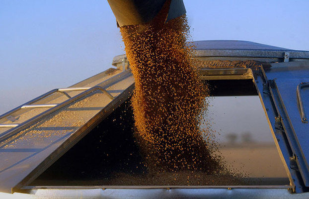 ЕС хочет экспортировать украинское зерно сухопутными путями