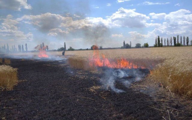Из-за обстрелов россиян в Украине сгорело целое поле с зерном