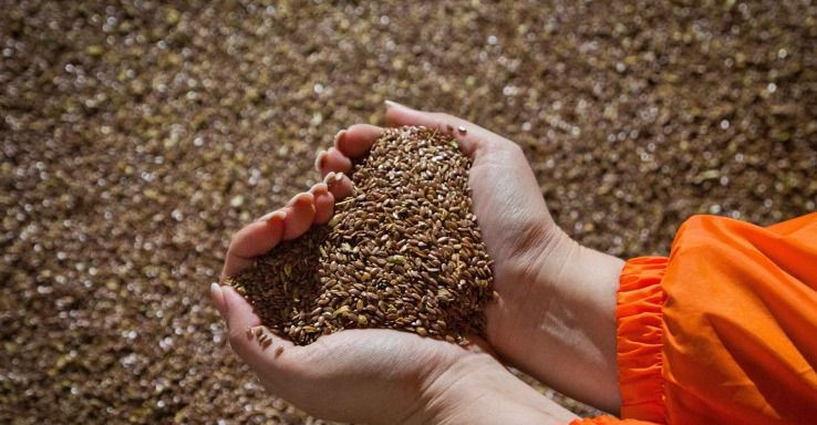Египет продолжит покупать украинское зерно