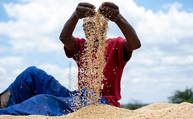 Путін готовий дати Африці десятки тисяч тонн зерна: в ООН це назвали «жменькою пожертв»