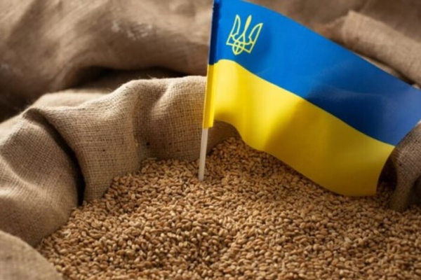 Украина все равно будет экспортировать зерно, – Буданов