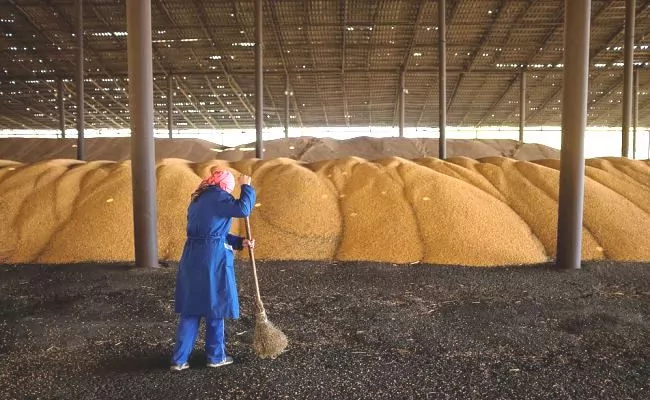 Безкоштовного російського зерна Африці не вистачить, – США