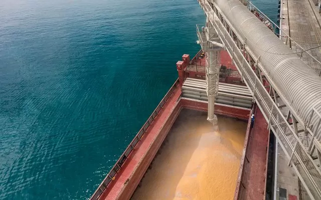 Польша просит ЕС увеличить пропускную способность портов для поставок украинского зерна