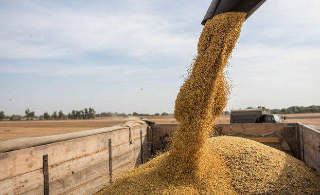 Еврокомиссия может отменить ограничения на импорт украинской сельскохозяйственной продукции