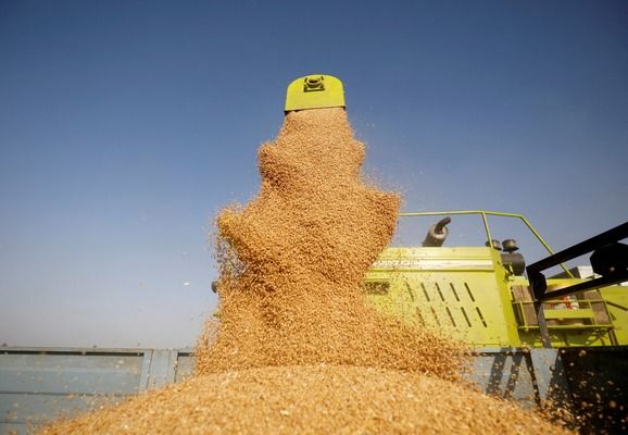 Україна експортувала понад 40 млн тонн зерна шляхами солідарності