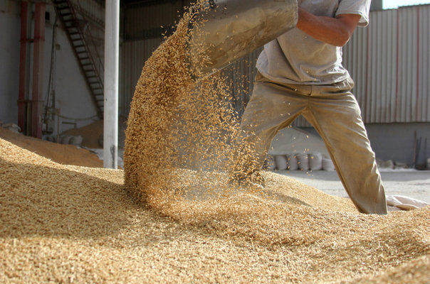 Румыния обещает помочь Украине с экспортом зерна