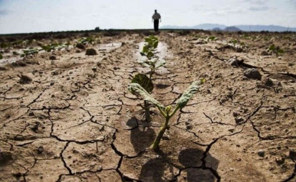 Україна охоплена ґрунтовою засухою - Укргідрометеоцентр