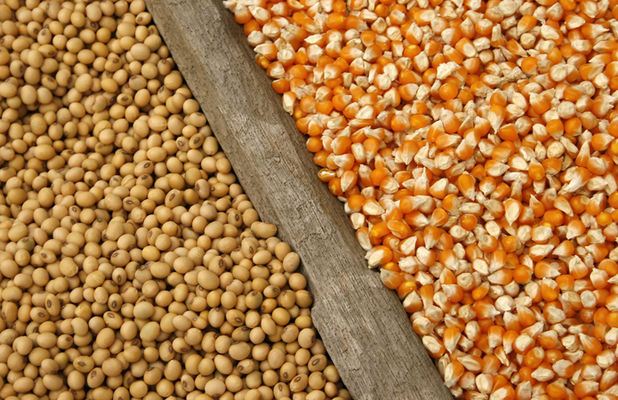 Бразилия установила рекорд по производству зерна