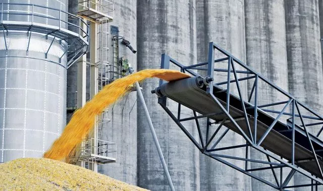Элеватор – ключевое звено эффективной зерновой логистики — Проценко