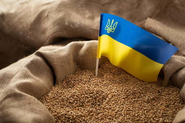 После выхода из "зернового соглашения" РФ уничтожила 280 тысяч тонн украинского зерна