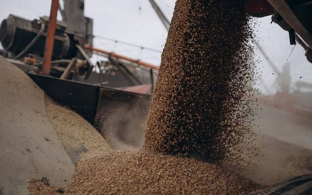 Дві країни ЄС продовжили заборону імпорту українського зерна