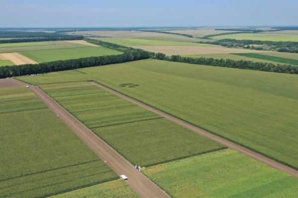 Україна відновлює сільгоспземлі: понад 225 тис. га вже розміновано
