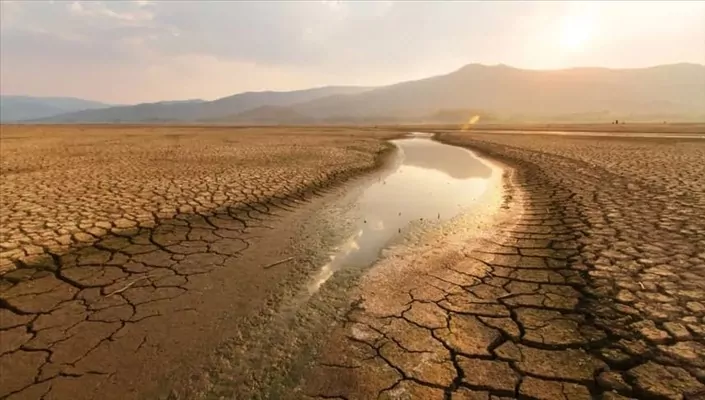 ООН запускает Портал для борьбы с деградацией земель