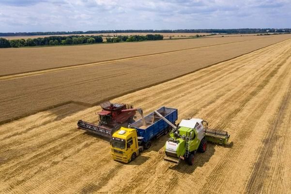 Украина, несмотря на войну, намолотила 63,2 млн тонн нового урожая