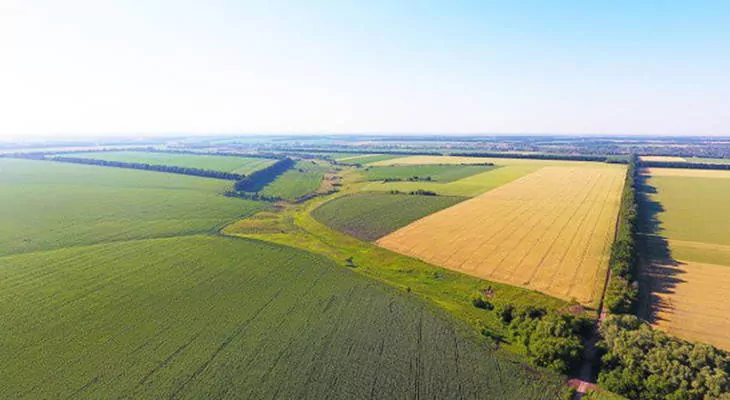 В Україні проводитимуть масову оцінку земель