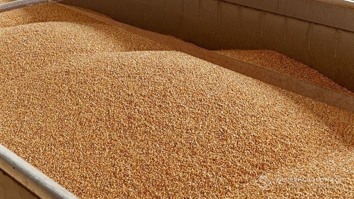 Експорт зерна з України знизився на 30% через війну