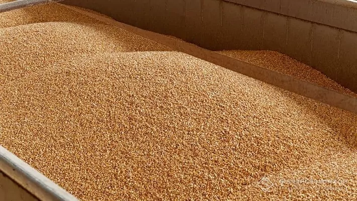 Экспорт зерна из Украины снизился на 30% из-за войны
