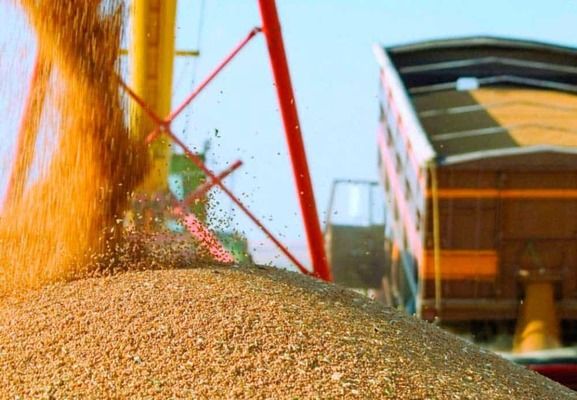 Эксперты: украинские экспортеры сельскохозяйственной продукции не вернули в Украину $3 млрд