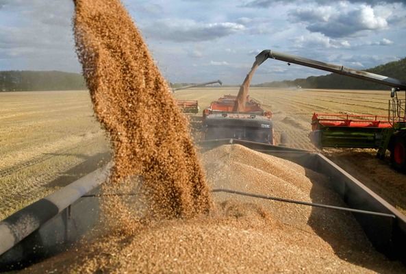 Потери зерна в Украине могут превысить $3,2 млрд