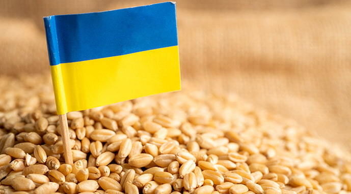 Экспорт зерновых из Украины на 30% ниже, чем в прошлом году
