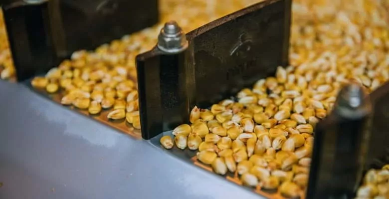 Украина увеличила экспорт кукурузы в Китай