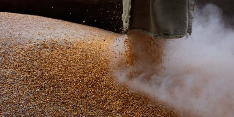 Російський експорт зернових до ЄС зріс удвічі