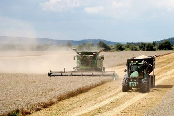  У 10 регіонах України вже завершилися жнива: скільки тонн зерна вже зібрано?