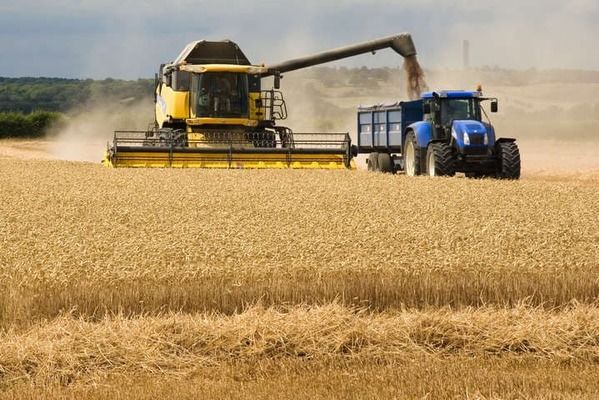 Яка область зібрала рекордний урожай зернових?