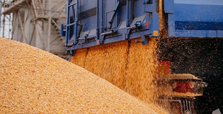 Молдавские фермеры требуют ограничить импорт зерновых из Украины